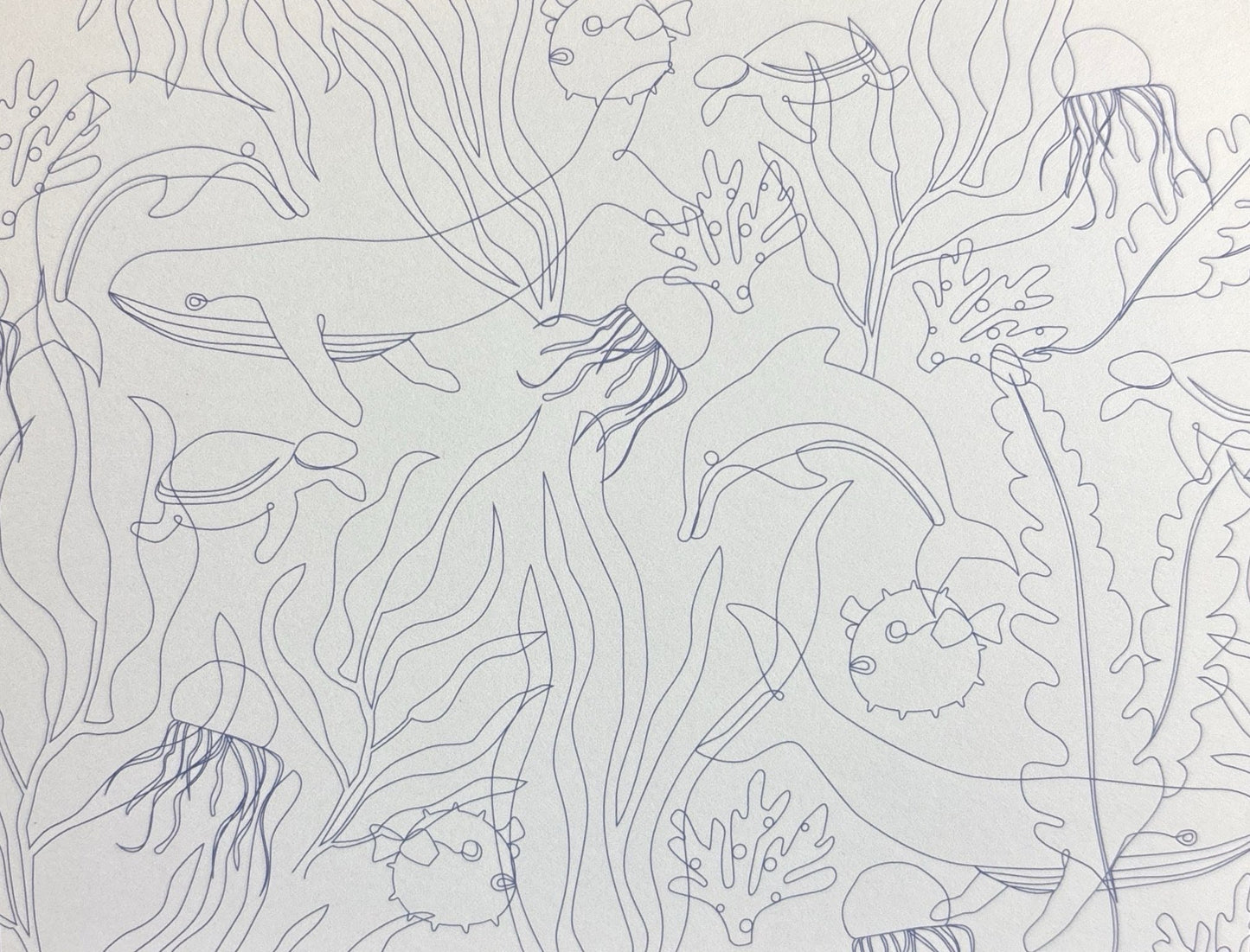 Individual Note Cards